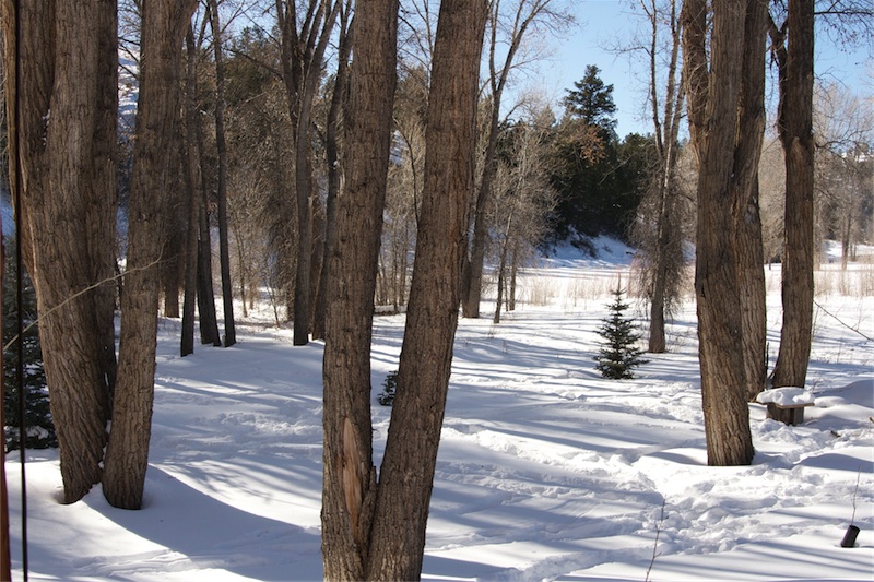 Colorado%20Christmas%202011%20-%2001.jpg