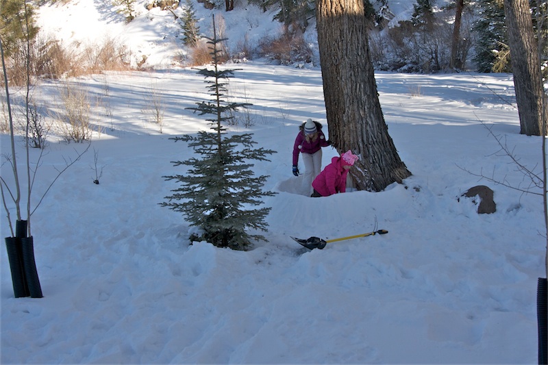 Colorado%20Christmas%202011%20-%2084.jpg